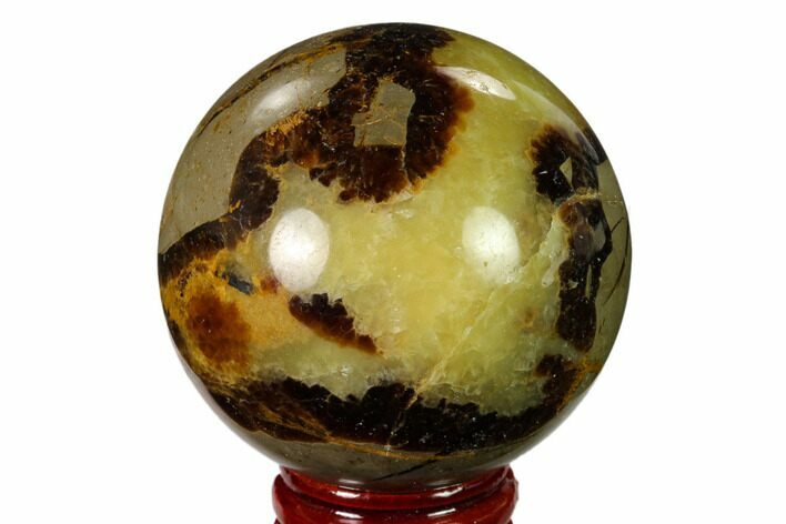 Polished Septarian Sphere - Madagascar #154118